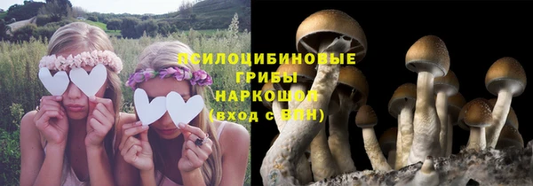 мефедрон Алексеевка