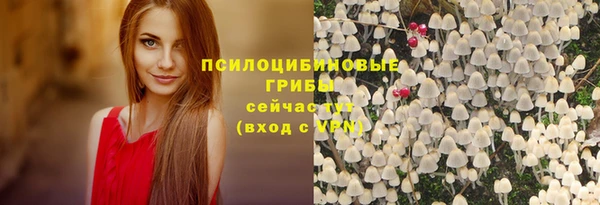таблы Алексин