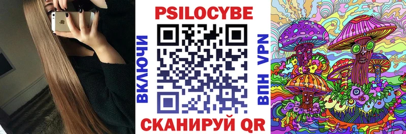 Галлюциногенные грибы Psilocybine cubensis Пущино