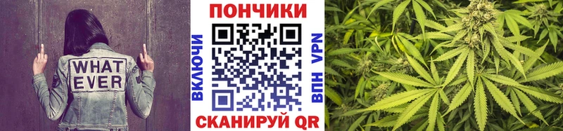 shop как зайти  Пущино  Каннабис план 